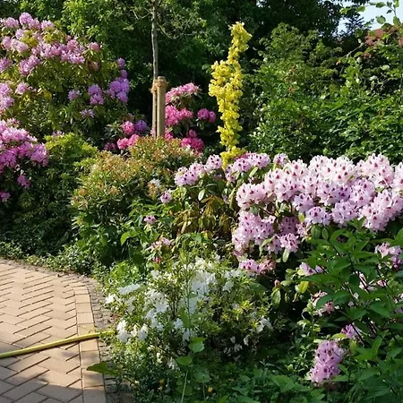 بيت للعطل Utlande In The Iffland